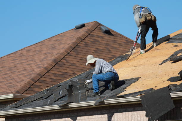 Best Gutter Installation and Repair  in Springfield, MO
