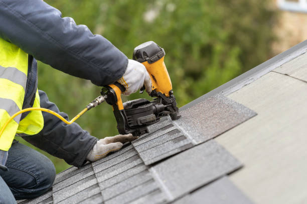Best Roof Insulation Installation  in Springfield, MO