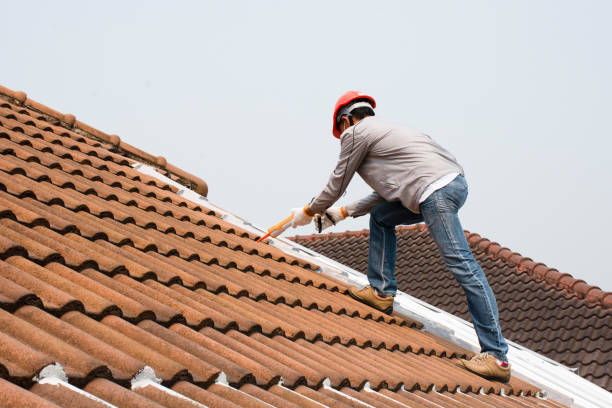 Best Roof Ventilation Installation  in Springfield, MO