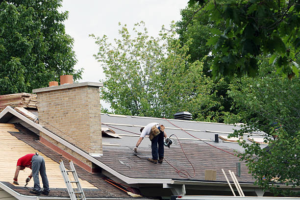 Best Metal Roofing Installation  in Springfield, MO
