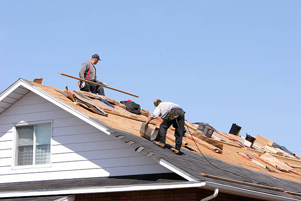 Best Metal Roofing Installation  in Springfield, MO